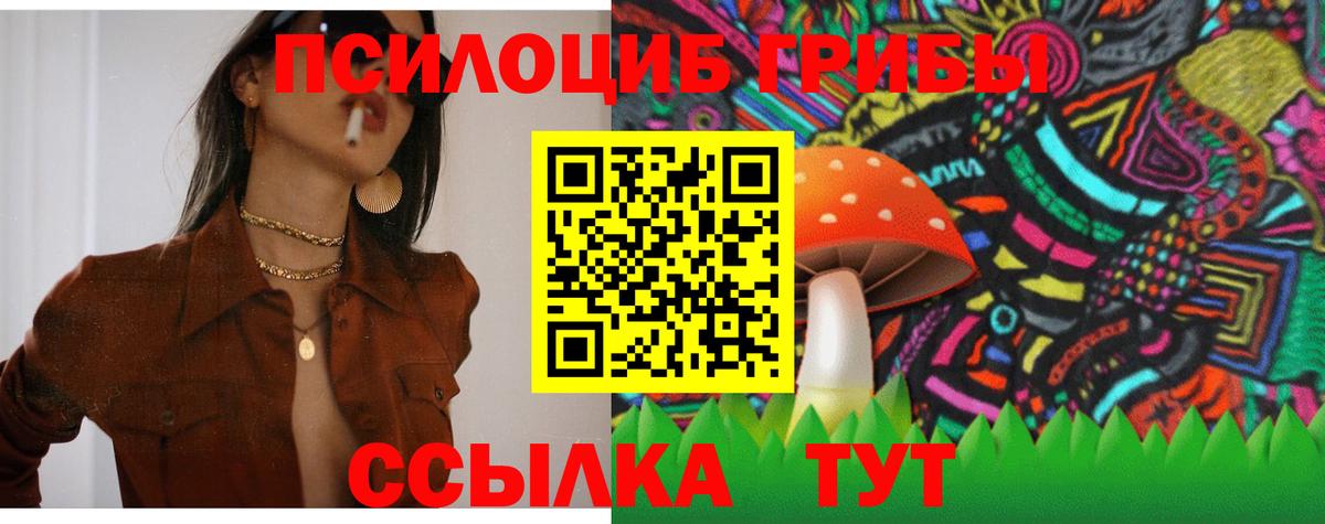 Псилоцибиновые грибы GOLDEN TEACHER Брянск